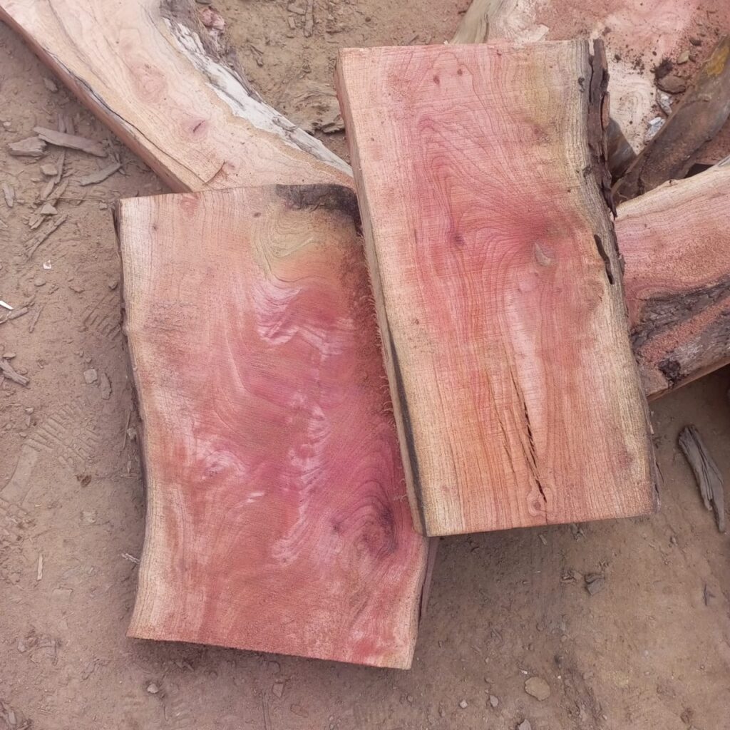 WhatsApp Image 2025-05-08 at 4.02.00 AM (1)